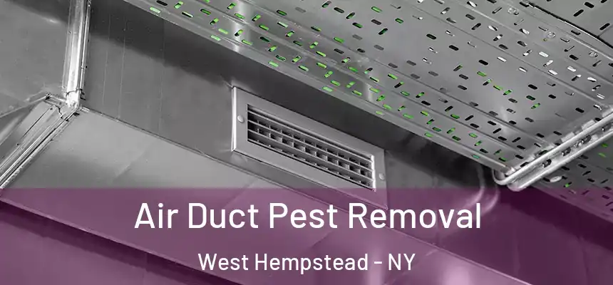 Air Duct Pest Removal West Hempstead - NY