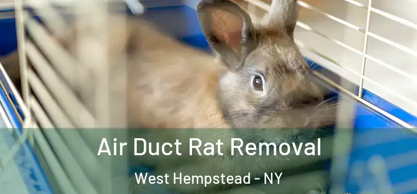  Air Duct Rat Removal West Hempstead - NY
