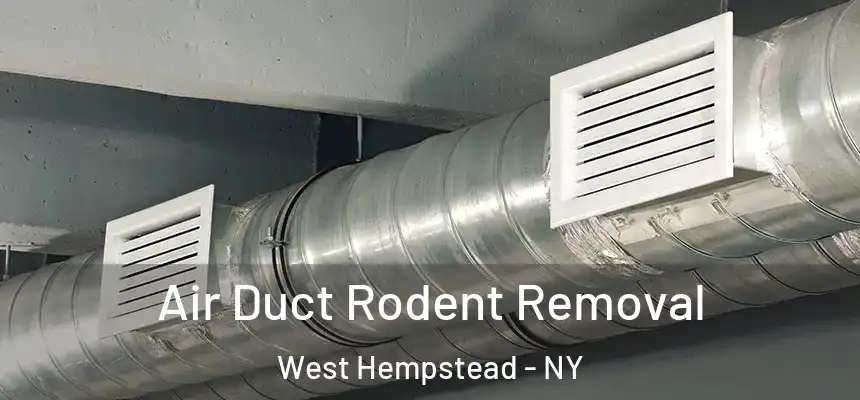 Air Duct Rodent Removal West Hempstead - NY