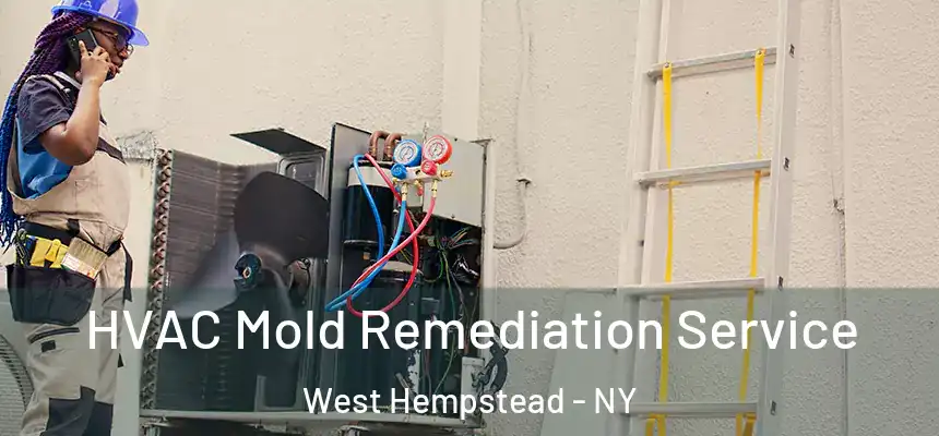  HVAC Mold Remediation Service West Hempstead - NY