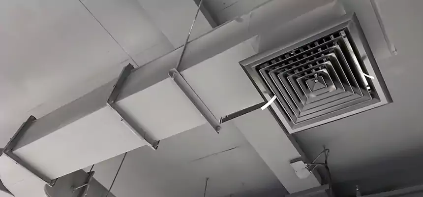 Restorative Allergy Relief Vent Cleaning – Coil, Blower & Housing Detail in West Hempstead