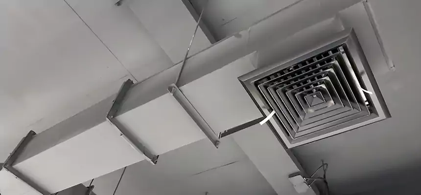 Our Rodent Droppings In Vents Services in West Hempstead, NY