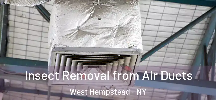Insect Removal from Air Ducts West Hempstead - NY