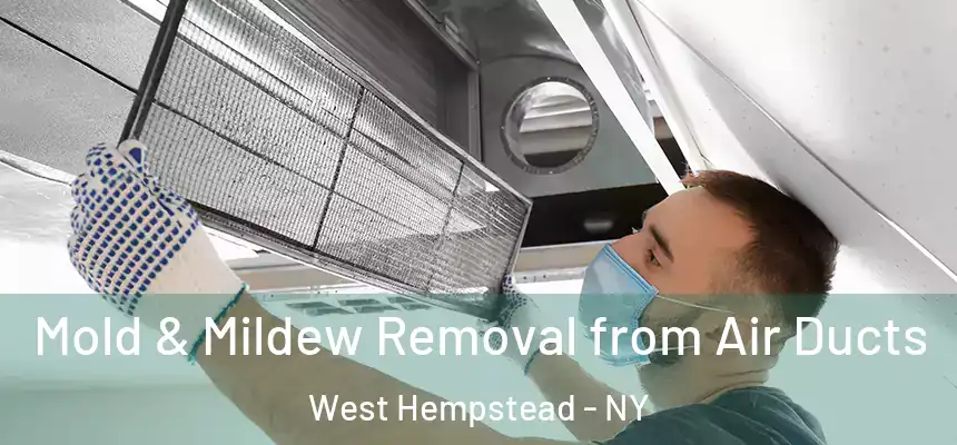 Mold & Mildew Removal from Air Ducts West Hempstead - NY