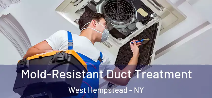  Mold-Resistant Duct Treatment West Hempstead - NY