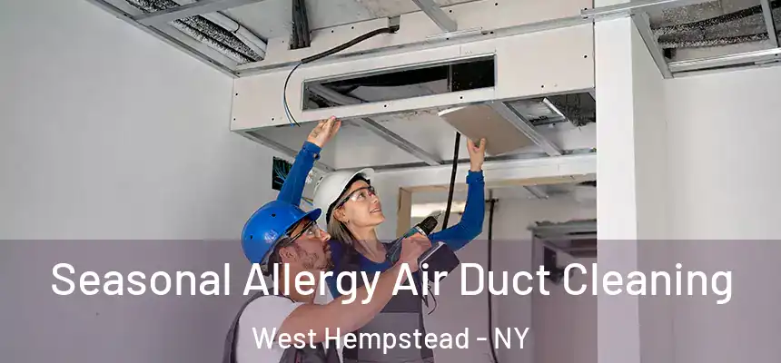  Seasonal Allergy Air Duct Cleaning West Hempstead - NY
