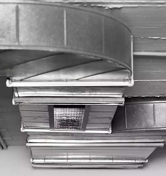 Professional Air Duct Pet Hair Removal in West Hempstead, NY