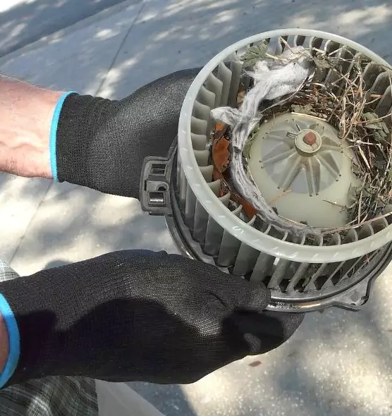 About Air Duct Rat Removal in West Hempstead, NY