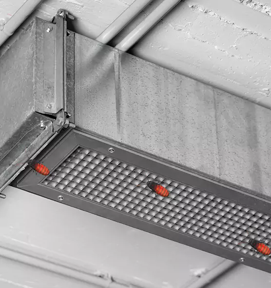 Affordable Insect Removal from Air Ducts in West Hempstead, NY